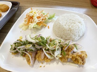rice steamed with chicken food