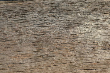Fototapeta premium Wooden flooring backgrounds and textures closeup for wallpaper interior design.