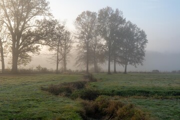 Misty Meadows in the Morning