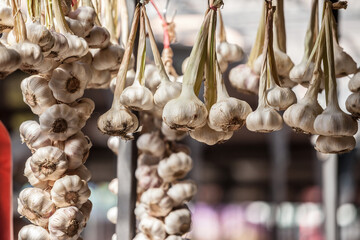 Garlic braids for sell on a Serbian market in Belgrade, Serbia, a country famous for its...