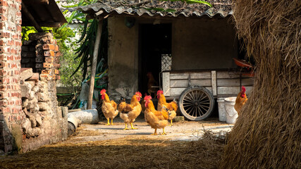 old farm house with hay