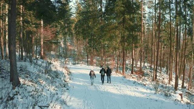 4K UHD aerial drone flying low along a snow path following a group of three tourists on a tour hiking in a snowy forest with trees in the Bavarian Alps in winter in Germany, close to Austria.