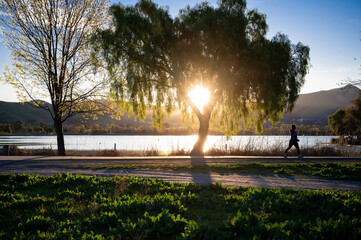 Person walking in park at sunrise