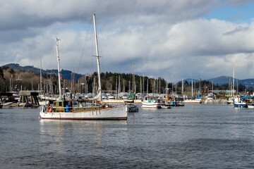 Old boats in the harbour