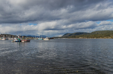 Fototapeta na wymiar boats in the harbour in Ladysmith, BC