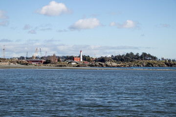 View of a light house and cranes on the coast of Vancouver Island
