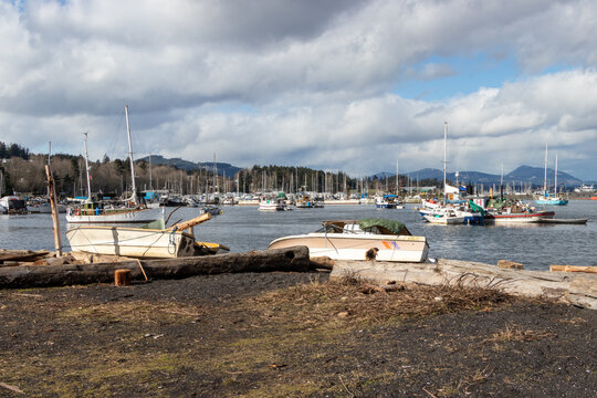 Old boats litter the harbour in Ladysmith