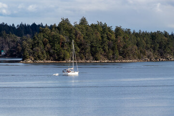 Fototapeta na wymiar sailboat in calm water on a sunny day in British Columbia, Canada