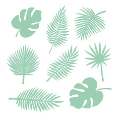 Vector set bundle of mint green hand drawn palm and monstera leaves isolated on white background