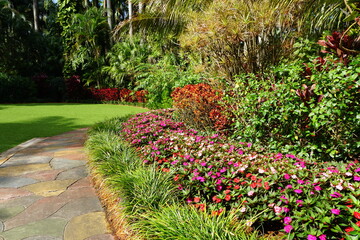 Tropical garden with red, pink and purple New Guinea Impatiens flowers