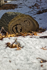 Winter Log