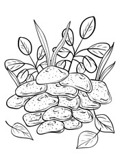 Mushrooms. Coloring, clip art, line art. Vector isolated illustration.