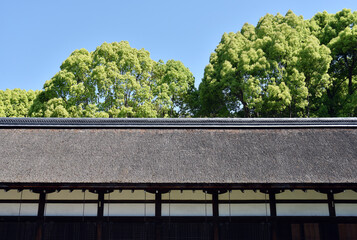 上賀茂神社　庁屋の茅葺の屋根と新緑　京都市