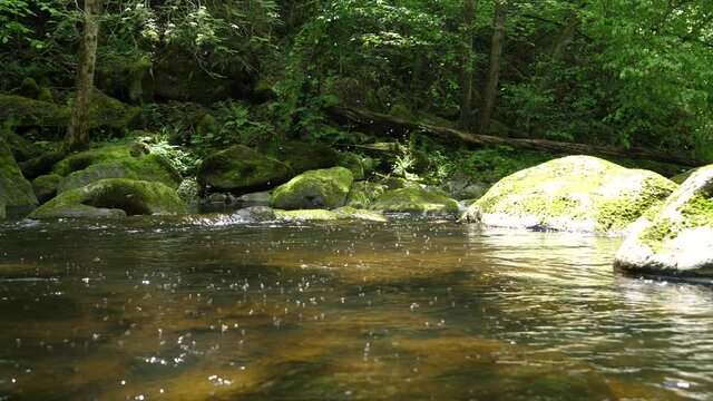 Thousands of mosquitos are flying above an fresh creek in an austrian forest. Sun shines on the water and the rocks. Water flows down a waterfall.