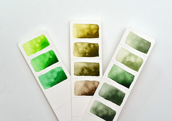 Color palette, three strips of paper with green and earthy shades, watercolor paper.