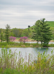 Green hill at Illinois forest preserve