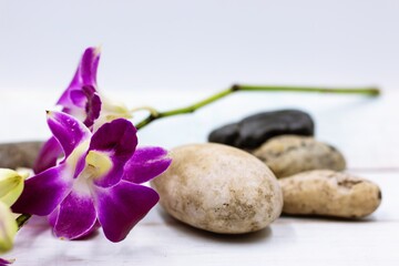 Purple orchid flower with stone are on white background