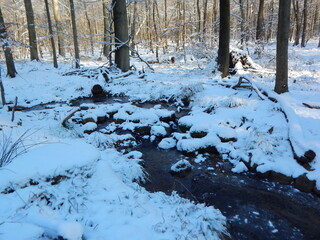 river in winter