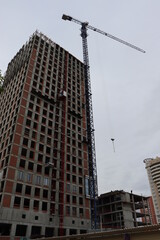 crane