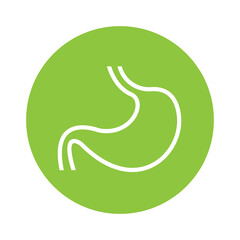 stomach digestion health icon vector