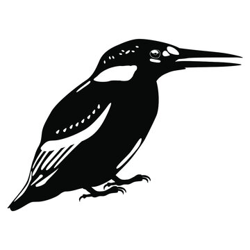 recommend clip art: Kingfisher bird. Black and white linear silhouette. Alcedo atthis.