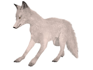 3d illustration of an realistic fox
