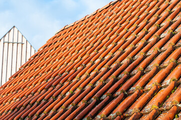 side view to a roof covered with moss and lichens