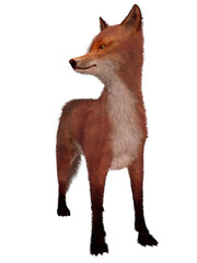 3d illustration of an realistic fox