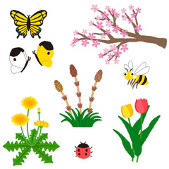 春の花・虫のイラスト