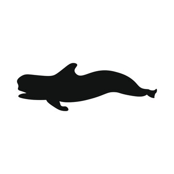 recommend clip art: pilot whale icon on white background