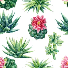 Gardinen Dschungel Succulent and cactus seamless pattern. Watercolor botanical illustration, background succulents, stone rose  © Hanna