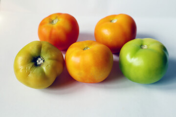 Home grown fresh tomato orange green unripe tomato close up focus blur at the back. A group of colourful isolated white background. Organic vegetables fruits. Front view angle.