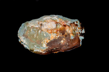 mold isolated on white background