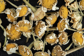 Pile of dried daisies on black background