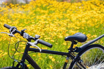 Fototapeta na wymiar お花畑の上に自転車のハンドル