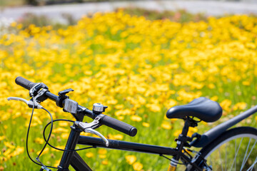 Naklejka premium お花畑の上に自転車のハンドル