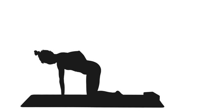 Black and white silhouette of flexible woman practicing cat cow yoga pose on mat, Full HD footage with alpha transparency channel isolated on white backgroun