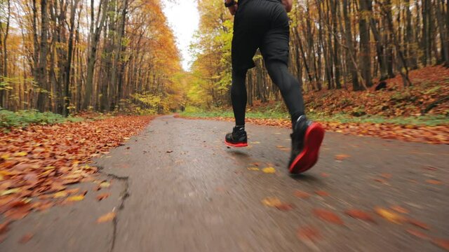 Shooting the legs of a running athlete. Running training in autumn forest. 4K.