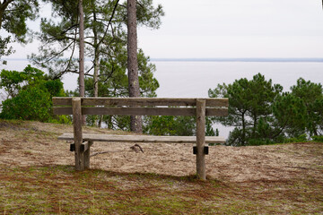 Fototapeta na wymiar bench wooden in the park pine forest with lake view in summer day on Hourtin coast France