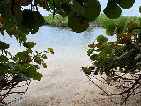 Whiskey creek hideaway in the mangroves