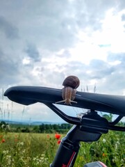 Sportmuffel: faule Schnecke.