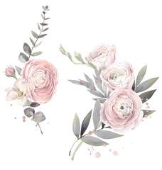 Floral set of bouquets with tender ranunculus flowers. Hand drawn watercolor art illustration.