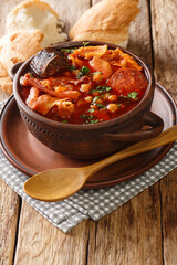 Spanish calllos made from tripe, chorizo, blood sausage and chickpeas in a spicy sauce close-up in a bowl on the table. vertical