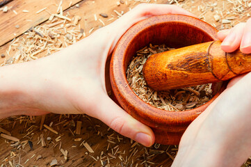 Eleutherococcus in herbal medicine