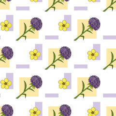 Seamless pattern with violet aster flowers and buttercups on white background. Vector image.