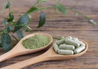 Andrographis capsule (Herbal capsule) and leaves on a wooden background,copy space.