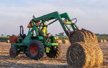 sugarcane harvester working in farm