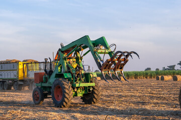 sugarcane harvester working in farm