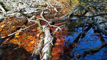 A beautiful lake high in the mountains.