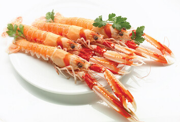 cigalas Del Mar sobre un plato sobre un fondo blanco.. crayfish Del Mar on a plate against a white...